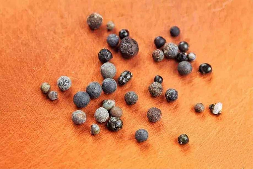 从科学角度讲,舍利子是什么物质