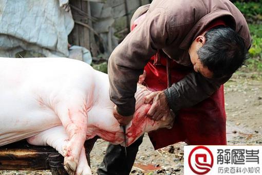 中国人过年为什么一定要杀猪呢?