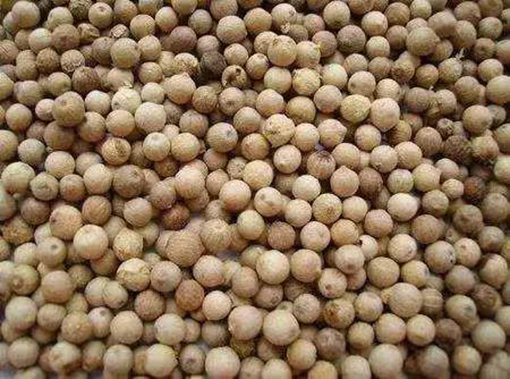 古代官员被抄家最值钱的并不是金银财宝?调料才是稀世珍品 古代官员被抄家最值钱的并不是金银财宝?调料才是稀世珍品