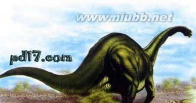 巨型恐龙遗骸出土是怎么回事?是什么地方出土的是什么品种揭秘