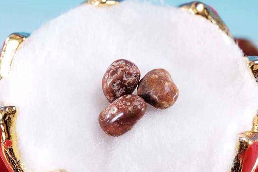 舍利子是什么?舍利子是怎么得到的? 舍利子是什么?舍利子是怎么得到的?