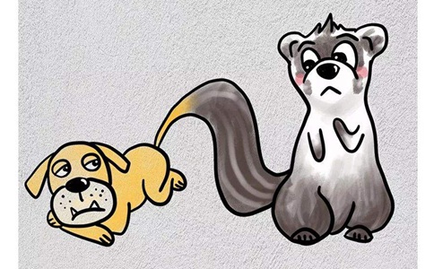 貂蝉在汉朝其实是一种官帽,在三国怎么就成了女间谍? 貂蝉在汉朝其实是一种官帽,在三国怎么就成了女间谍?