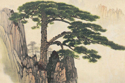 古代人数最多的姓是什么?古代八大姓氏介绍