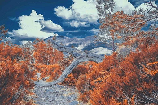 苏格兰怎么老是在闹独立? 苏格兰怎么老是在闹独立?