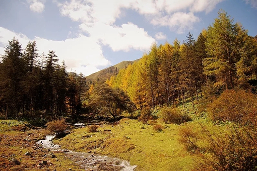 未来有可能发生第三次世界大战么?第三次世界大战参战国会是谁? 未来有可能发生第三次世界大战么?第三次世界大战参战国会是谁?