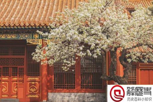 揭秘寿康宫灵异事件是怎么回事