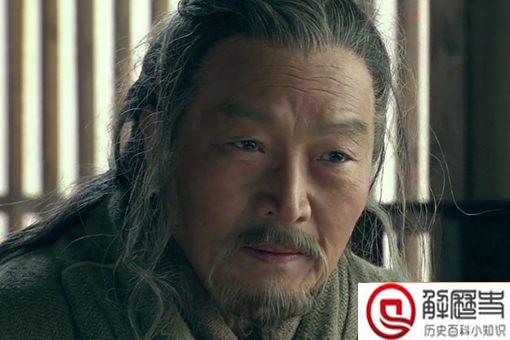 蒯通是一个怎样的人,作为谋士他的水平如何