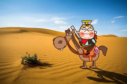 古代后宫争夺最激烈的是乾隆时期吗?其实清朝后宫远不如其他朝代精彩