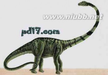 巨型恐龙遗骸出土是怎么回事?是什么地方出土的是什么品种揭秘