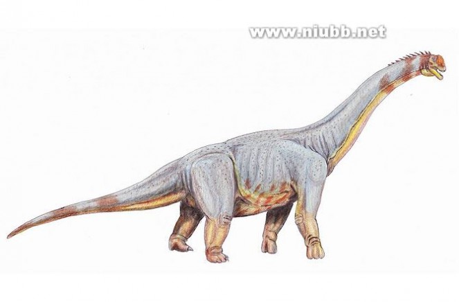 巨型恐龙遗骸出土是怎么回事?是什么地方出土的是什么品种揭秘