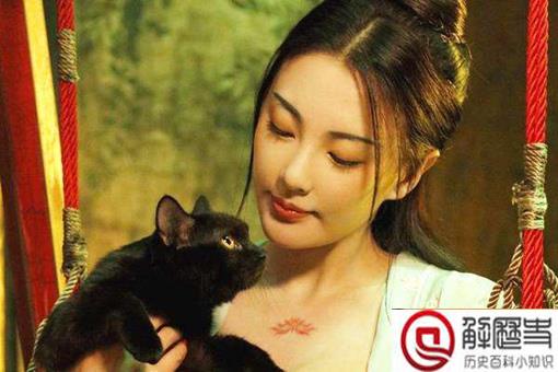 福金帝姬三天没下床是怎么回事?福金帝姬三天没下床的说法是不是真的?