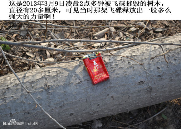 山东人电死外星人事件是真是假?这波造假真给山东人丢脸!