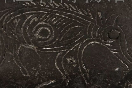 现代猪和古代猪长相有什么区别? 现代猪和古代猪长相有什么区别?