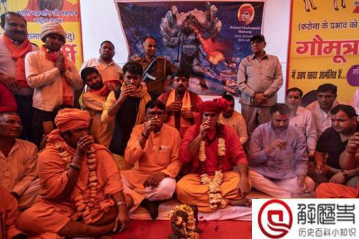 印度人为什么要喝牛尿?这与他们的信仰有什么关系?