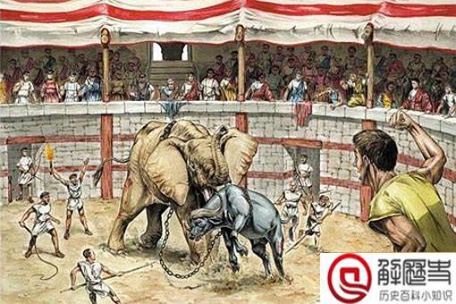 罗马斗兽场上场过哪些猛兽?