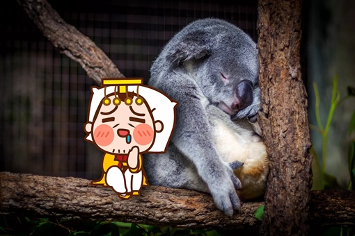 古代后宫争夺最激烈的是乾隆时期吗?其实清朝后宫远不如其他朝代精彩