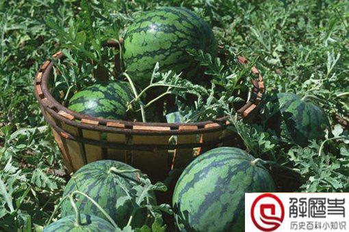 慈禧吃西瓜是怎么吃的 每天吃350个西瓜是真的吗