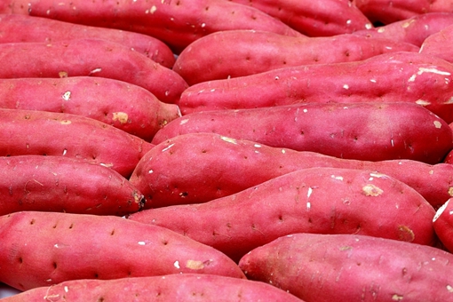 红薯为什么不能主粮化?是被洋土豆打败了还是真有局限性? 红薯为什么不能主粮化?是被洋土豆打败了还是真有局限性?