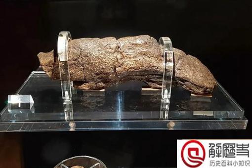 维京人的大痔疮是怎么一回事?这与一千多年前的屎化石有什么关系?
