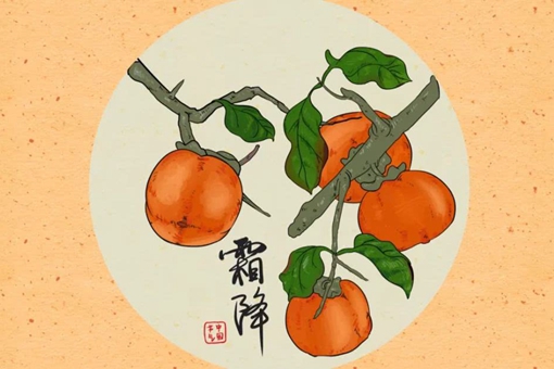 霜降为什么要吃柿子?霜降吃柿子的习俗是怎么来的?