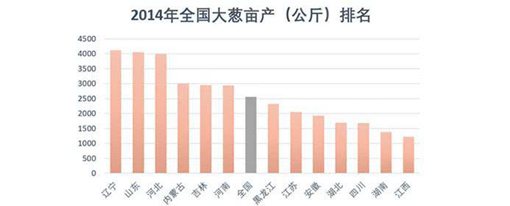 山东人为什么喜欢生吃大葱?历史上山东人和大葱竟有这样的渊源 山东人为什么喜欢生吃大葱?历史上山东人和大葱竟有这样的渊源