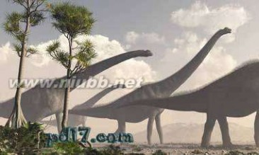 巨型恐龙遗骸出土是怎么回事?是什么地方出土的是什么品种揭秘