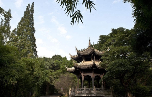 如果街亭之战诸葛亮派魏延驻守能守住么?诸葛亮用人暴露弱点