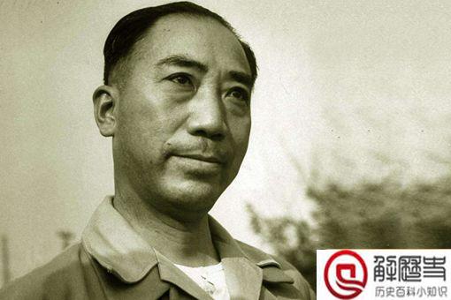 戴藏宜为什么死 戴藏宜是怎么落网的