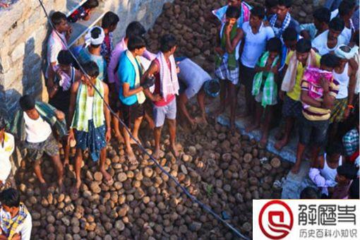 印度上千村民互扔牛粪送祝福 印度人为什么那么喜欢牛粪呢