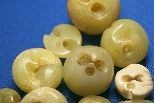 从科学角度讲,舍利子是什么物质