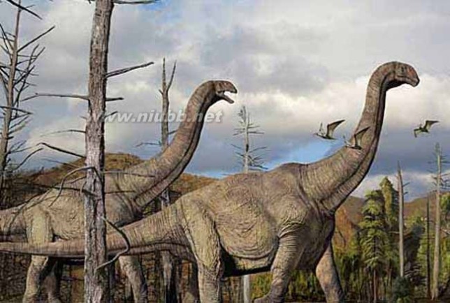 巨型恐龙遗骸出土是怎么回事?是什么地方出土的是什么品种揭秘