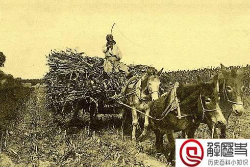 真的只有北方人才会闯关东吗?揭秘历史上湖北人闯关东经历