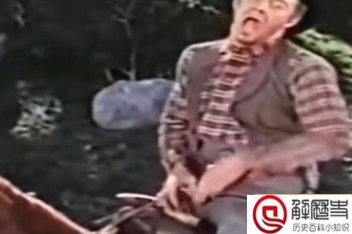 威廉尖叫是什么梗?威廉尖叫已经有多少年的历史了? 威廉尖叫是什么梗?威廉尖叫已经有多少年的历史了?