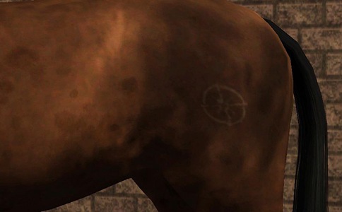 为什么要给马身上打烙印?