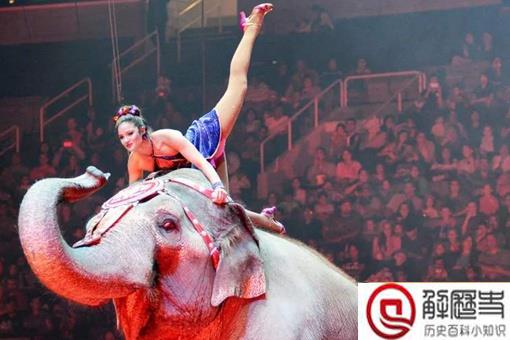 大象玛丽被当众吊死是怎么回事?