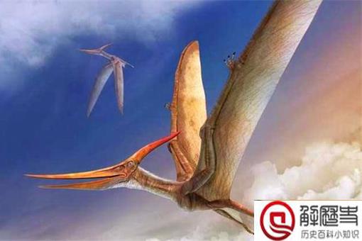 翼龙真的是在6500年前灭绝的吗?南北战争士兵与翼龙合影的照片是真的吗?
