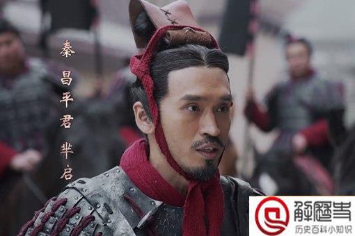 芈启是秦国丞相,为何又成了楚国国君-解历史