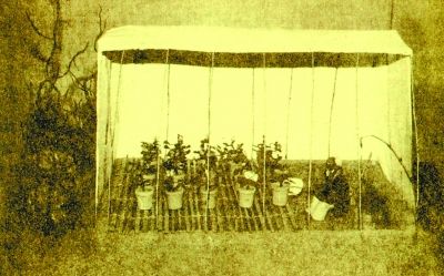 古代的北方人冬天都吃什么菜? 古代的北方人冬天都吃什么菜?