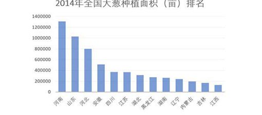 山东人为什么喜欢生吃大葱?历史上山东人和大葱竟有这样的渊源 山东人为什么喜欢生吃大葱?历史上山东人和大葱竟有这样的渊源