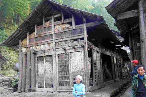 农村父子盖新房,却挖出一只“猪”,考古学家到了后说"继续挖"。