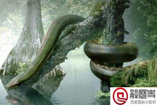 幸好这30种动物灭绝了,要不人类真的难以生存 幸好这30种动物灭绝了,要不人类真的难以生存