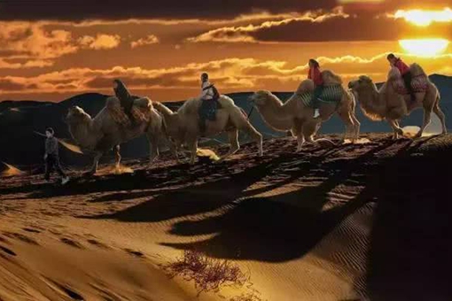 唐朝时期胡椒为什么很珍贵?胡椒是从哪传入中国的? 唐朝时期胡椒为什么很珍贵?胡椒是从哪传入中国的?