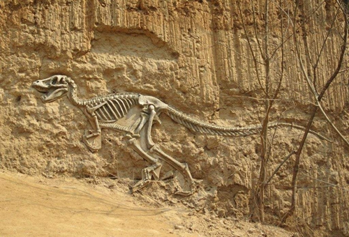 古代人是怎么看待恐龙化石的?