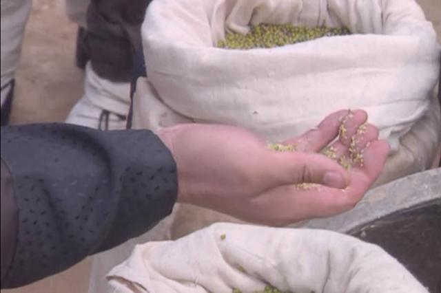 刘关张哪个武功最高 刘备是里面最弱的吗 刘关张哪个武功最高 刘备是里面最弱的吗