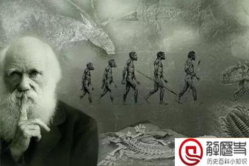 猿猴诉讼案的经过是怎样的?达尔文的进化论竟然被告了