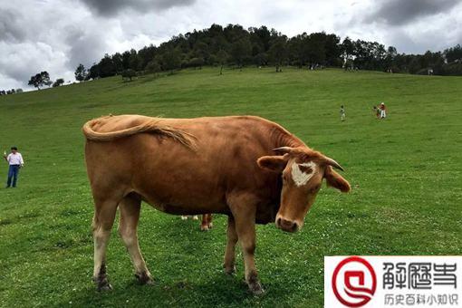 说大话为什么叫吹牛?吹牛有什么典故?