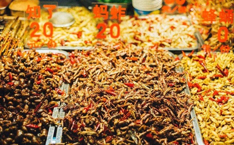 古代闹蝗灾怎么办?西北人当虾米吃东南人却不吃!