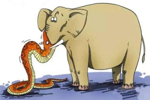 人心不足蛇吞象的故事介绍 人心不足蛇吞象什么意思?