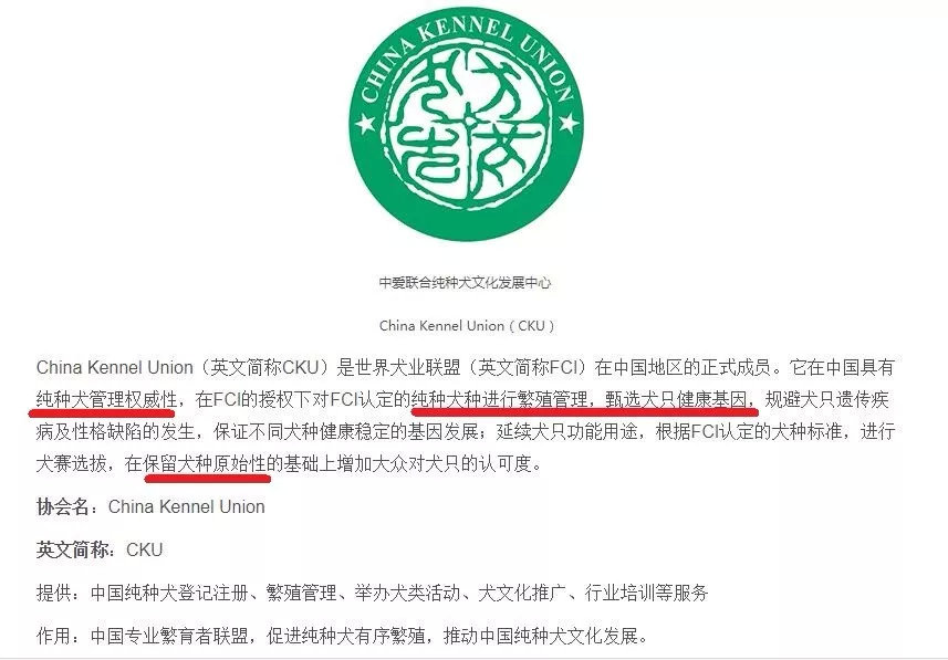 唐狗到底是什么狗?其实唐狗和中华田园犬并无关系 唐狗到底是什么狗?其实唐狗和中华田园犬并无关系