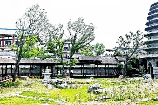 唐朝时期中亚地区是谁在统治?唐朝为什么不占领中亚地区?